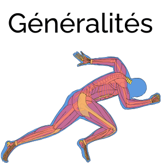 Evaluation de la transposition des compétences chirurgicales en ostéosynthèse après apprentissage pa